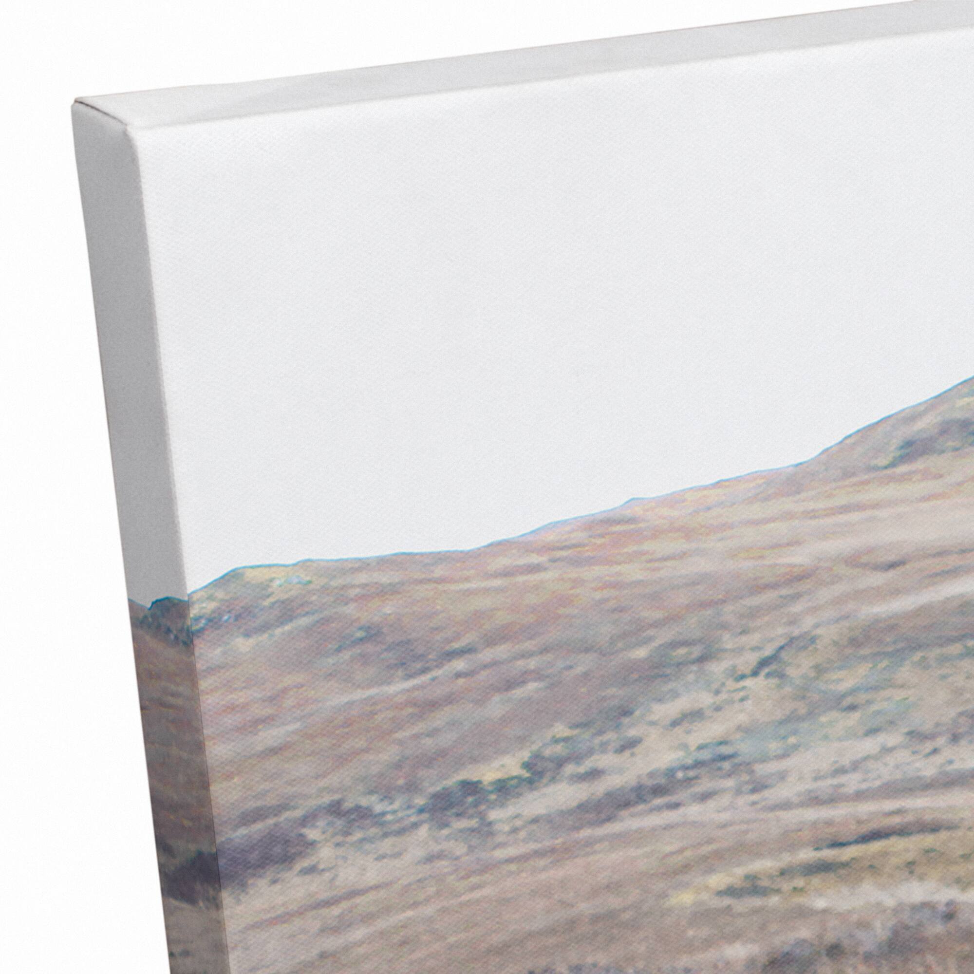 Highland Cow Landscape 24" x 16" Canvas Wall Art